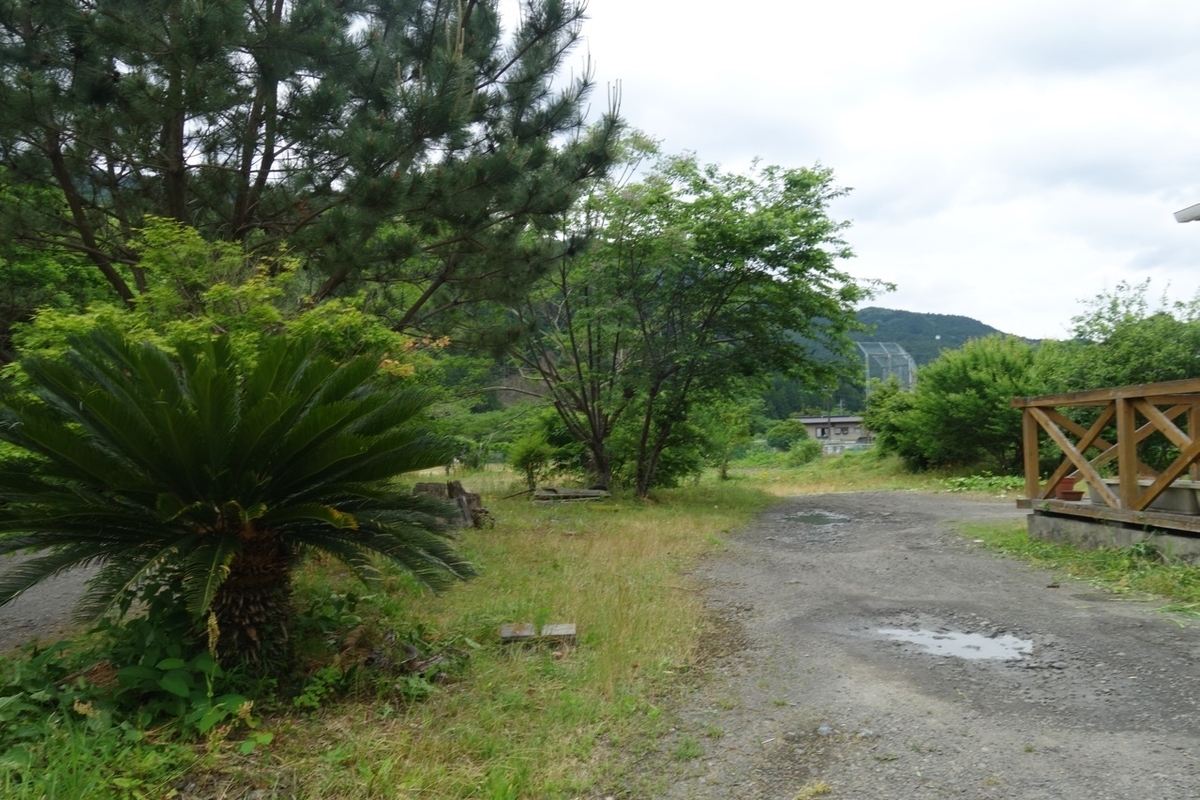 f:id:ichirindo:20200518141845j:plain f:id:ichirindo:20200518141845j:plain