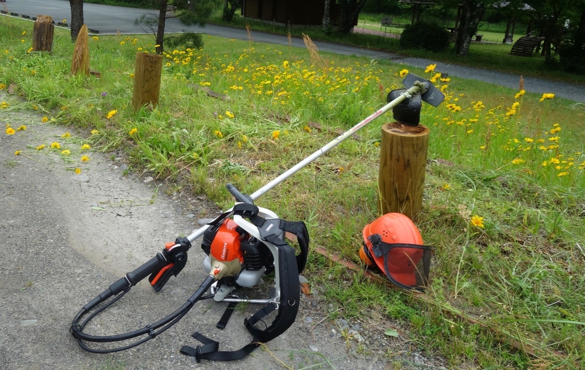 f:id:ichirindo:20200518141905j:plain f:id:ichirindo:20200518141905j:plain