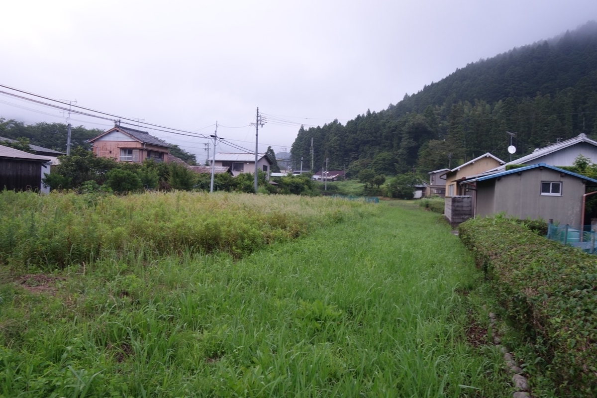 f:id:ichirindo:20200705103336j:plain