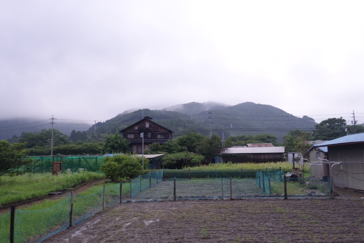 f:id:ichirindo:20200705103359j:plain