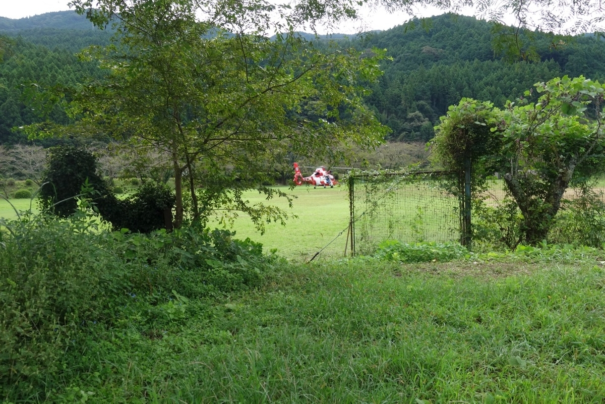 f:id:ichirindo:20200922195150j:plain