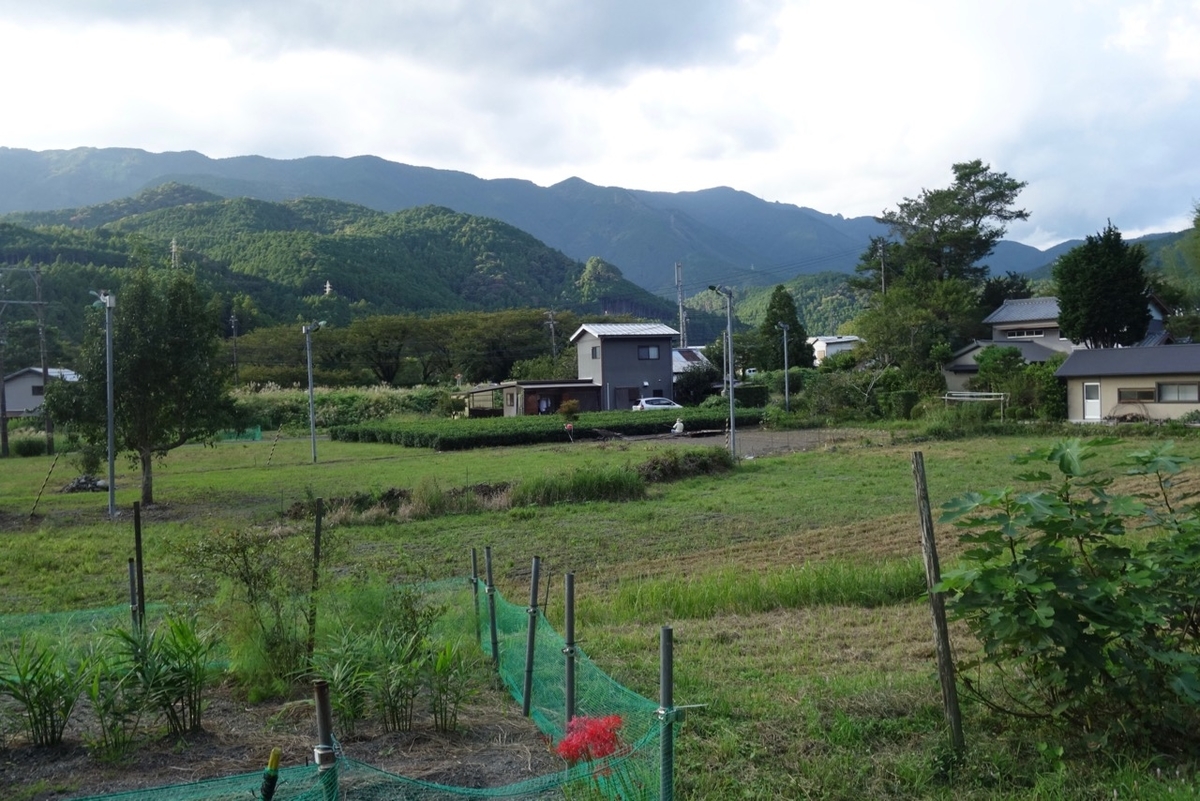 f:id:ichirindo:20200928205625j:plain