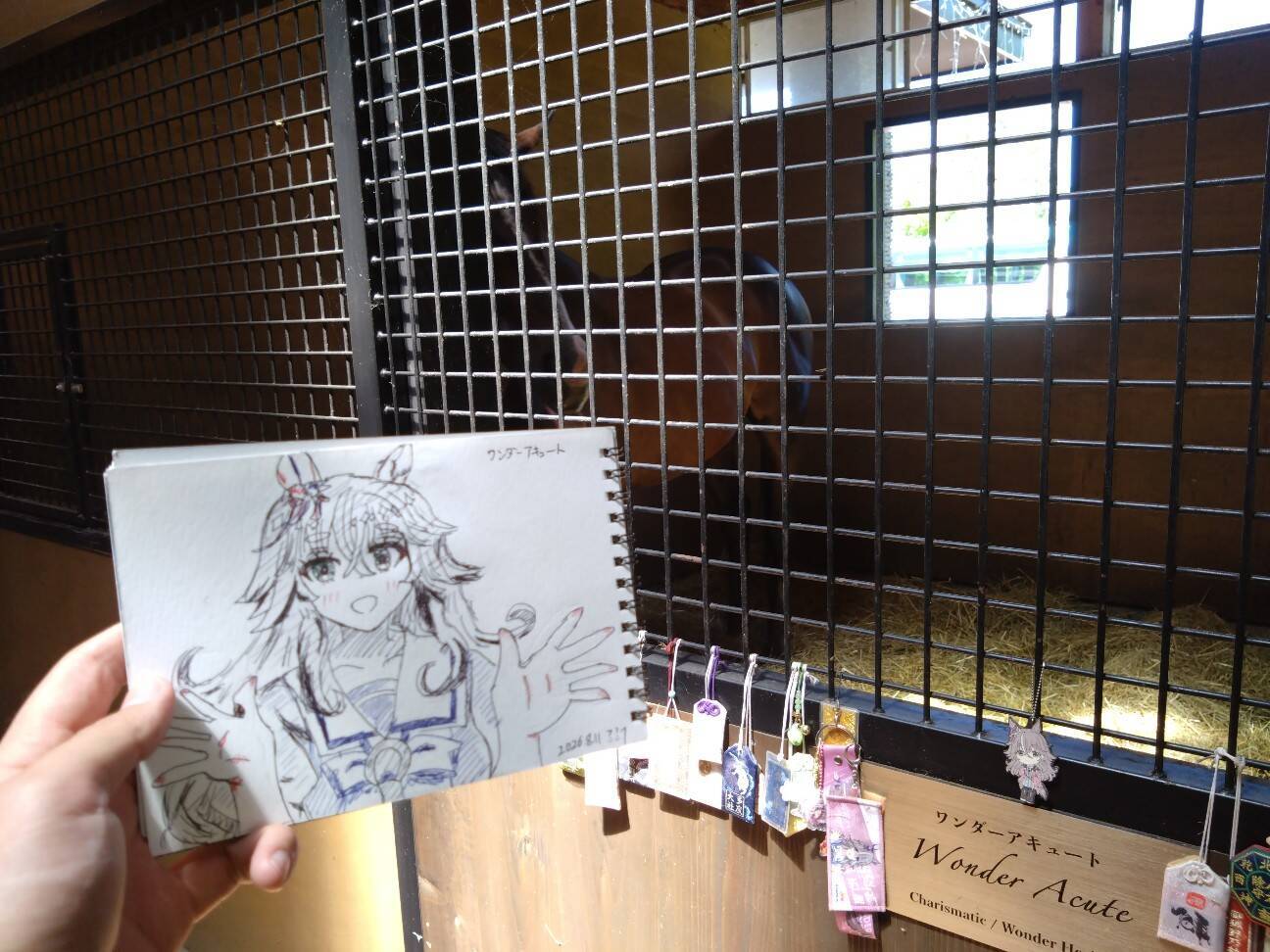 f:id:ichirog:20260814224445j:image