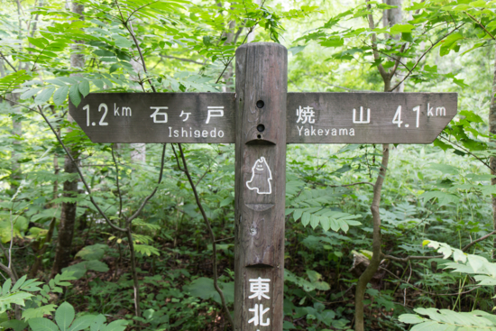 f:id:ichiroh0509:20150821092528j:image:w440 f:id:ichiroh0509:20150821092528j:image:w440