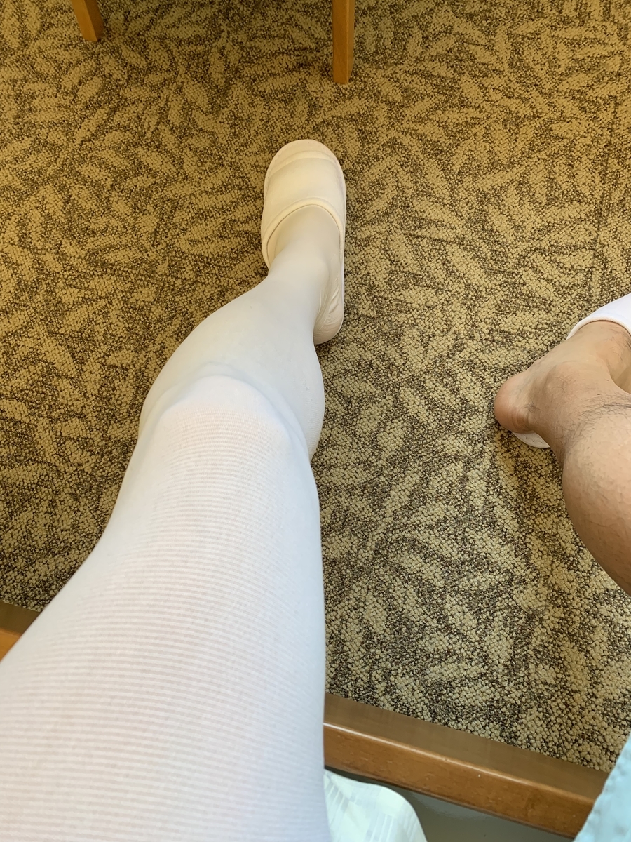 f:id:ichirokkets:20190429225708j:plain