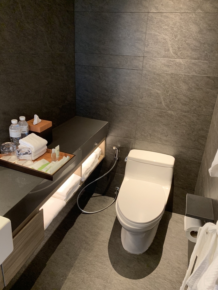 f:id:ichirokkets:20190626003539j:plain