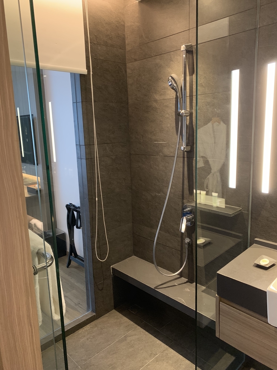 f:id:ichirokkets:20190626003643j:plain