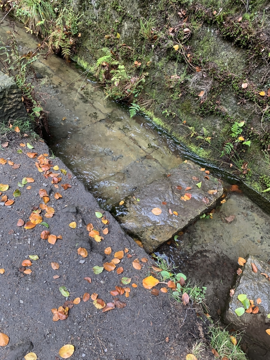 f:id:ichirokkets:20200322151143j:plain f:id:ichirokkets:20200322151143j:plain