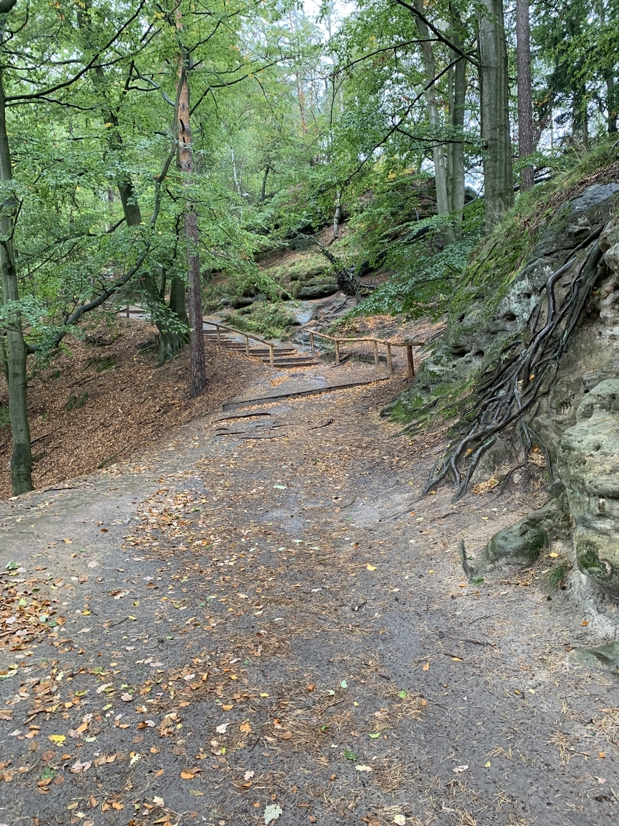 f:id:ichirokkets:20200404162229j:plain f:id:ichirokkets:20200404162229j:plain