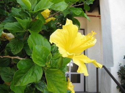 f:id:ichishoji:20090718103048j:image
