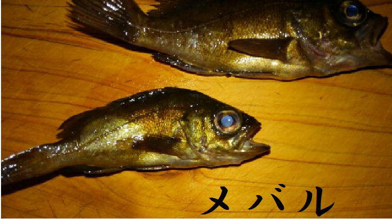 f:id:ichisshi:20160929160421p:plain f:id:ichisshi:20160929160421p:plain