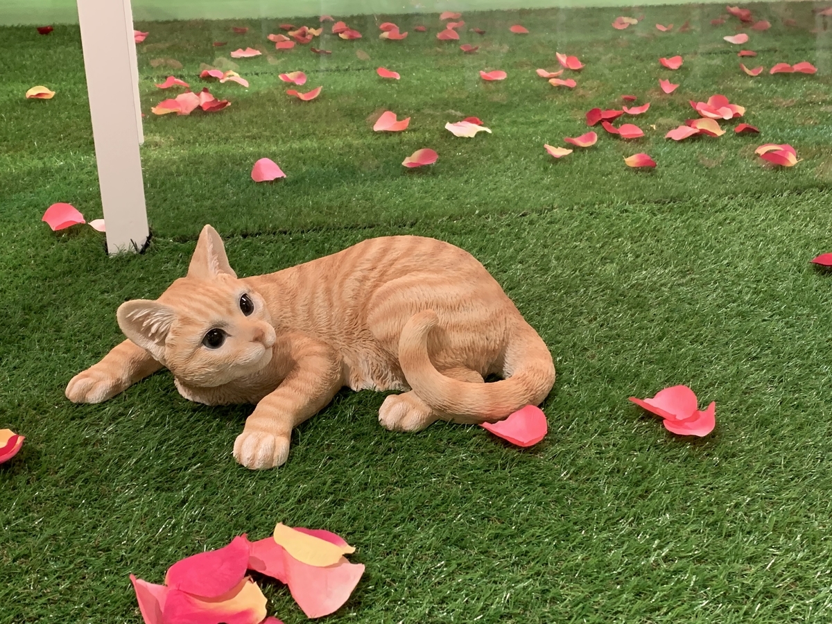 f:id:ichiwaka:20190519152218j:plain