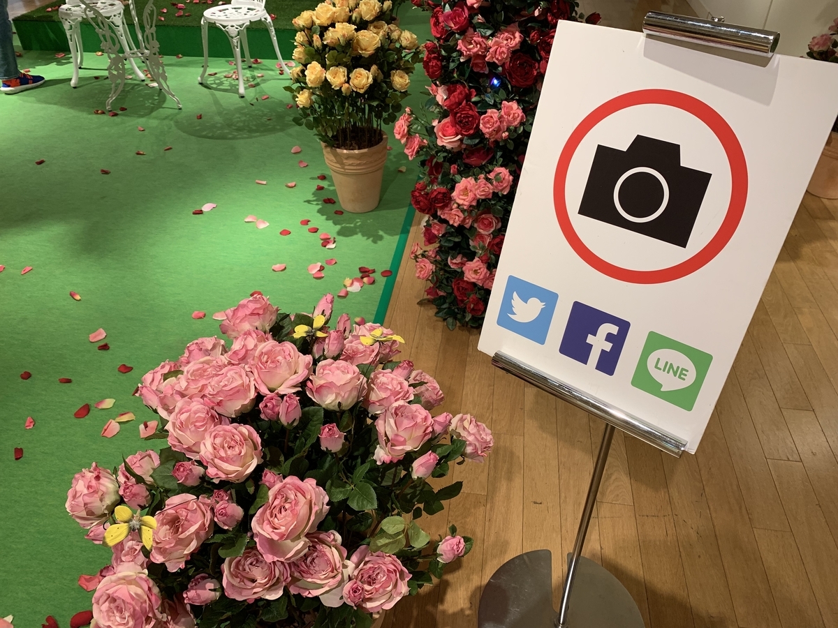 f:id:ichiwaka:20190519152301j:plain