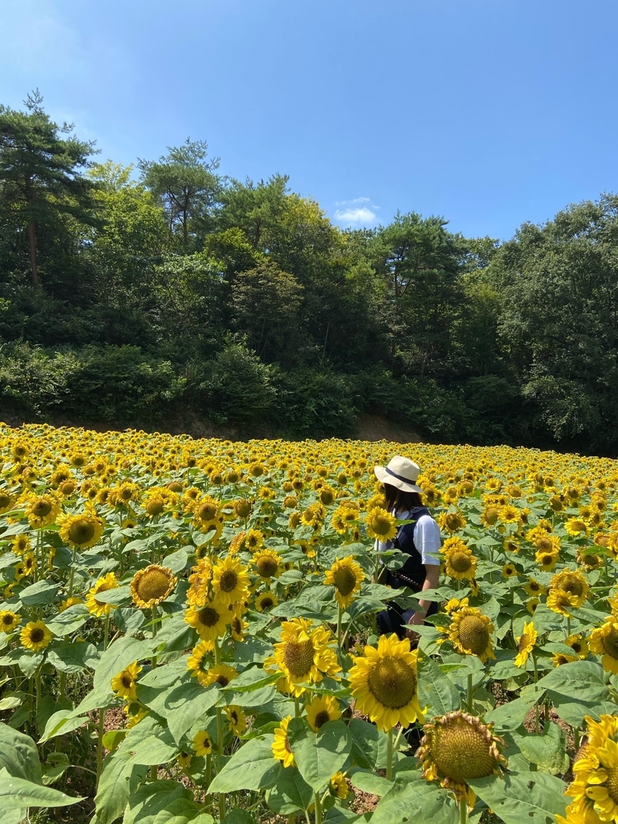 f:id:ichiwara:20201221225719j:plain