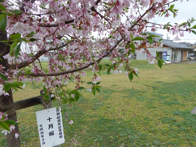 イメージ 4