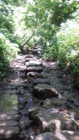 f:id:ichizou:20140616113419j:image:left f:id:ichizou:20140616113419j:image:left