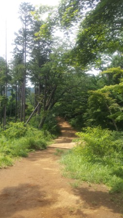 f:id:ichizou:20140616123319j:image:left f:id:ichizou:20140616123319j:image:left