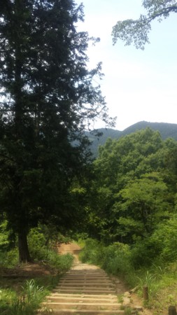 f:id:ichizou:20140616123900j:image:left f:id:ichizou:20140616123900j:image:left