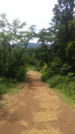 f:id:ichizou:20140616124000j:image:left f:id:ichizou:20140616124000j:image:left