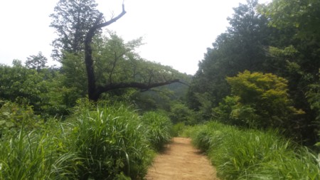 f:id:ichizou:20140616124229j:image:left f:id:ichizou:20140616124229j:image:left