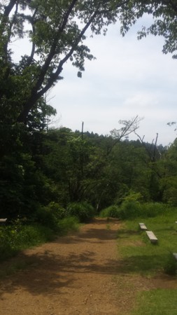 f:id:ichizou:20140616130058j:image:left f:id:ichizou:20140616130058j:image:left