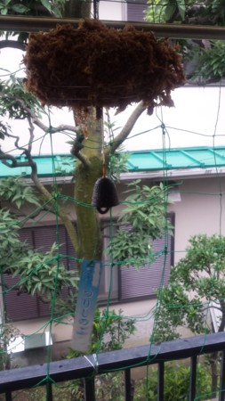 f:id:ichizou:20140621175115j:image f:id:ichizou:20140621175115j:image
