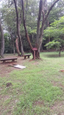 f:id:ichizou:20140812094641j:image f:id:ichizou:20140812094641j:image