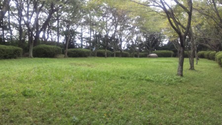 f:id:ichizou:20140812095952j:image f:id:ichizou:20140812095952j:image