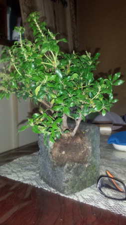 f:id:ichizou:20140908180700j:image
