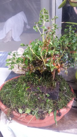 f:id:ichizou:20140918140538j:image f:id:ichizou:20140918140538j:image