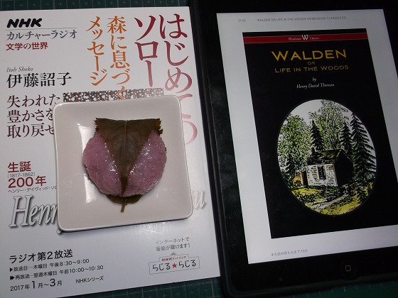 イメージ 2