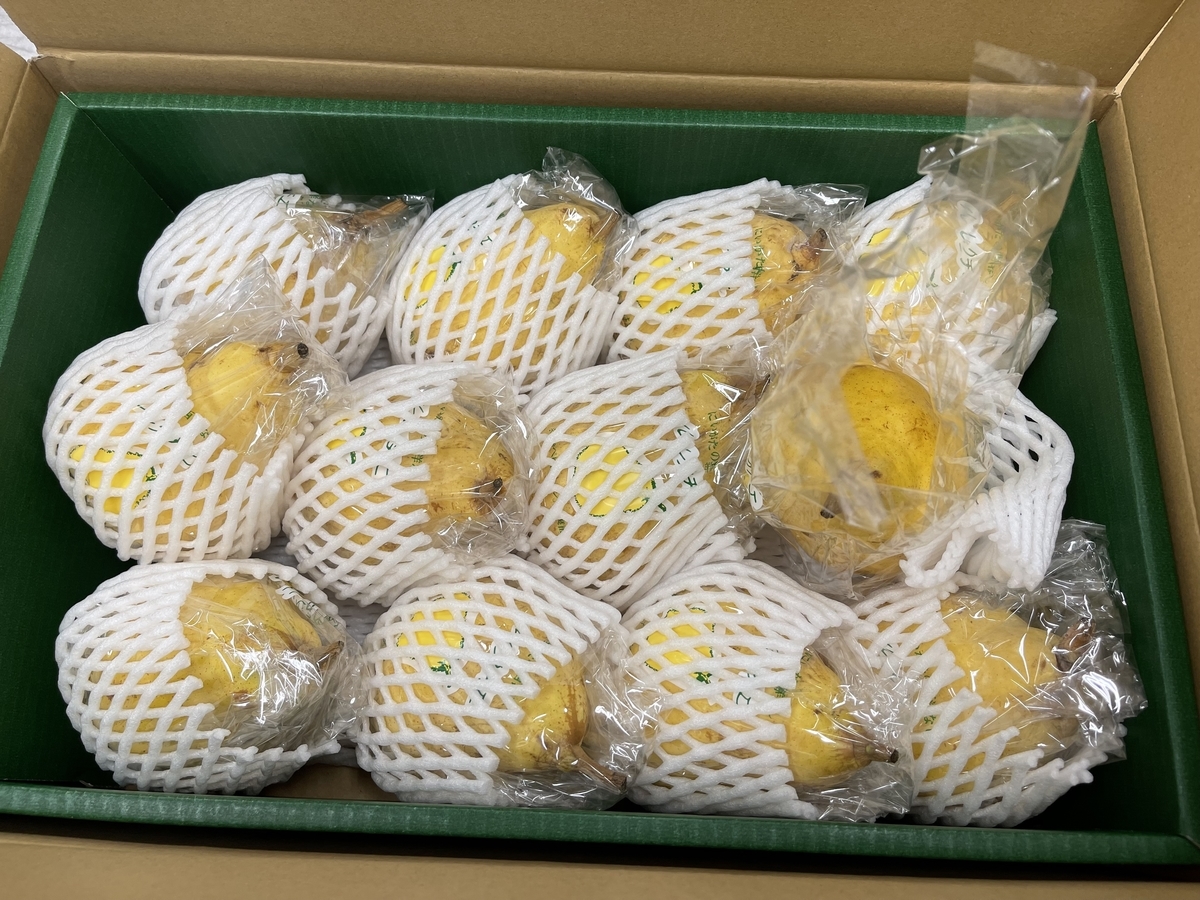 f:id:ichousyokudou:20220108123928j:plain