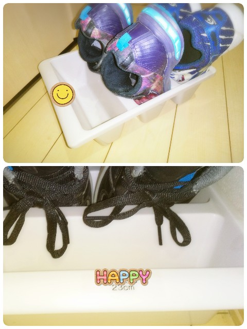 f:id:icoulab:20210117170757j:image