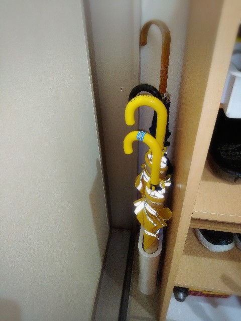 f:id:icoulab:20210526003601j:image