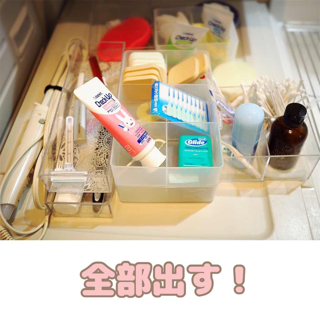 f:id:icoulab:20221102202336j:image