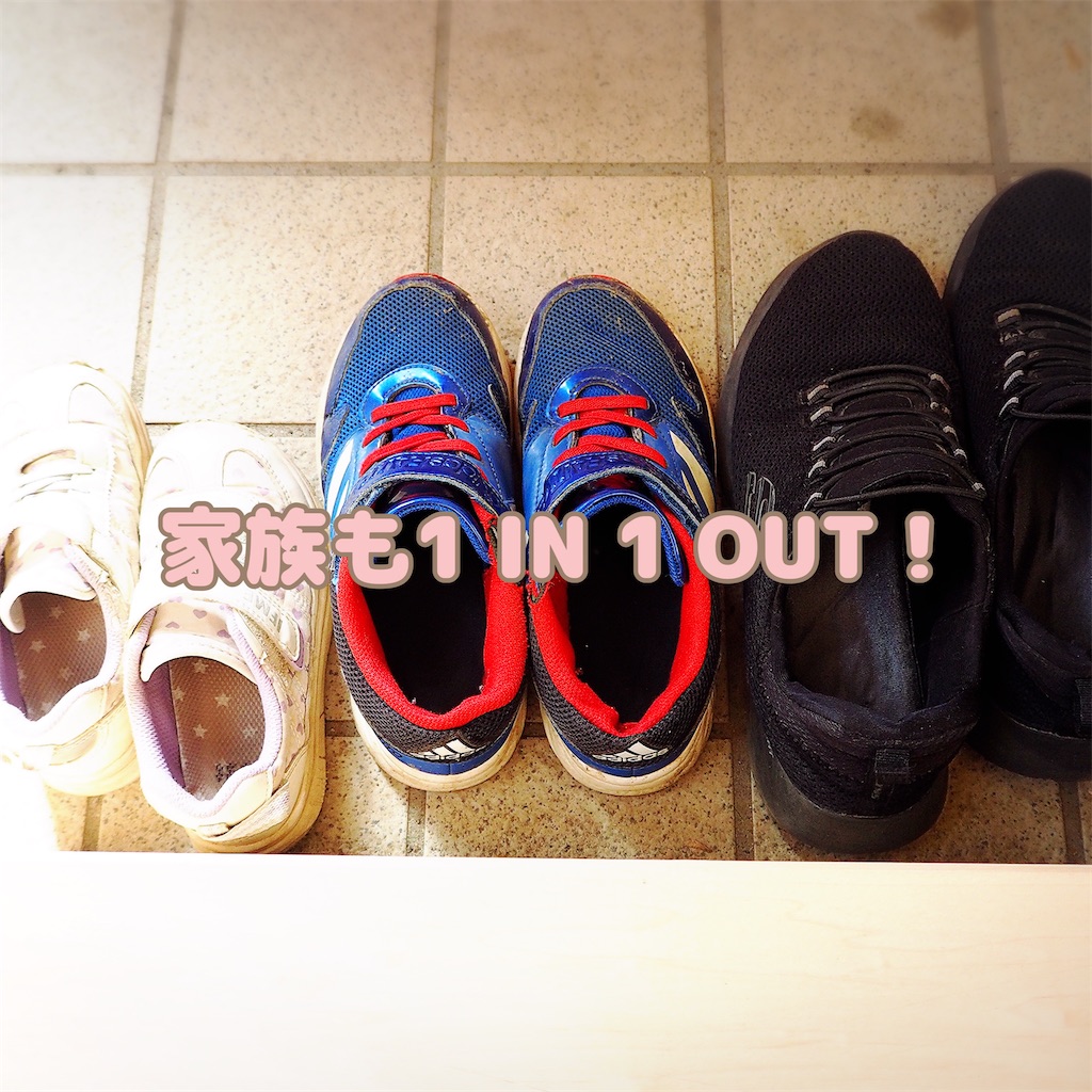 f:id:icoulab:20221231134446j:image