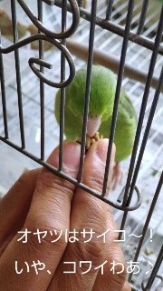 f:id:icuteno2:20220728121129j:image
