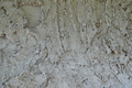 秋野不矩美術館05