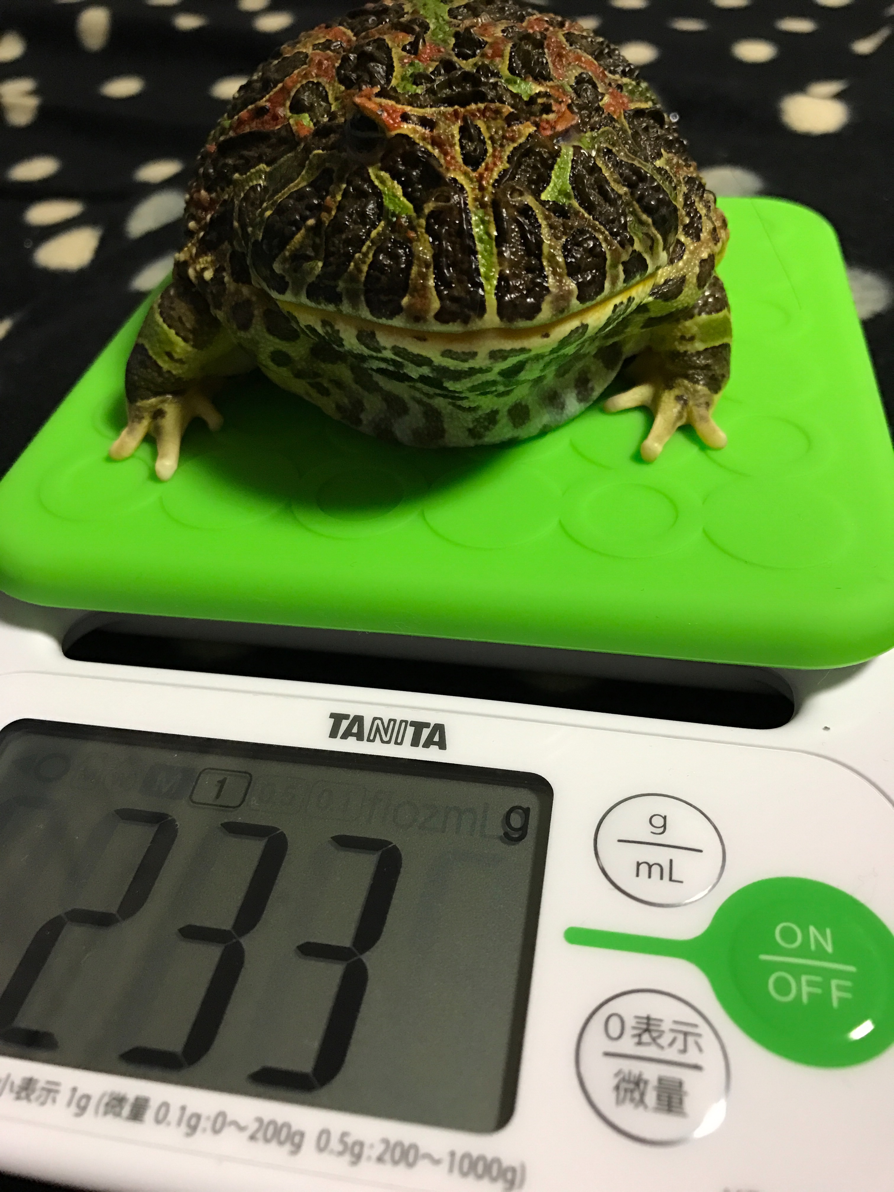 いだのナナシノゲエム愛と デブリ 愛のかたち いだのブログかモン いだのナナシノゲエム愛と デブリ 愛のかたち いだのブログかモン