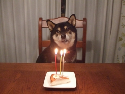 f:id:idea-for-life:20130928235455j:plain