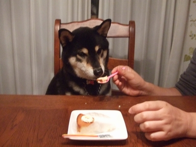 f:id:idea-for-life:20130928235529j:plain