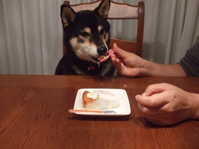 f:id:idea-for-life:20130928235549j:plain