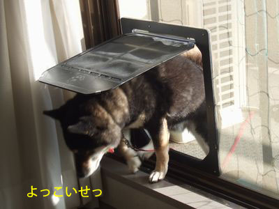 f:id:idea-for-life:20140928230940j:plain f:id:idea-for-life:20140928230940j:plain