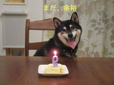 f:id:idea-for-life:20150929110747j:plain