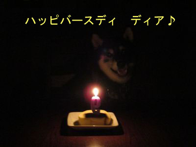 f:id:idea-for-life:20150929110859j:plain