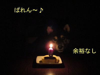 f:id:idea-for-life:20150929110922j:plain