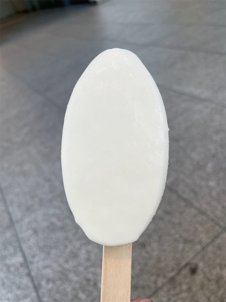 f:id:ideal_orange:20230730100234j:image