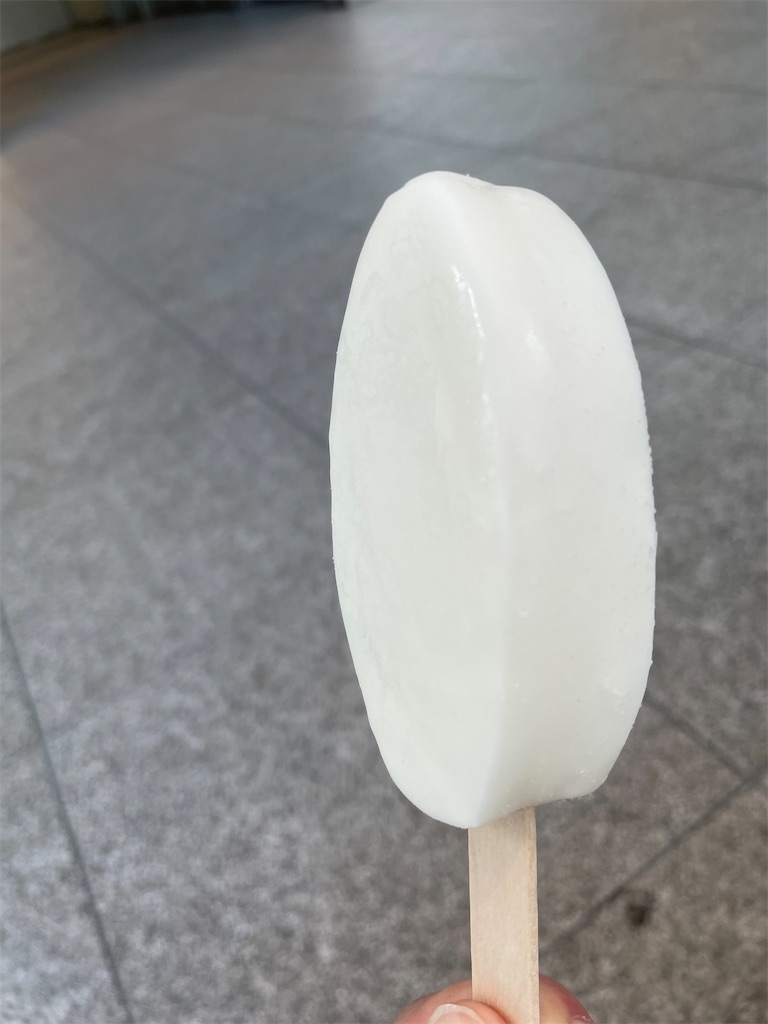 f:id:ideal_orange:20230730100247j:image