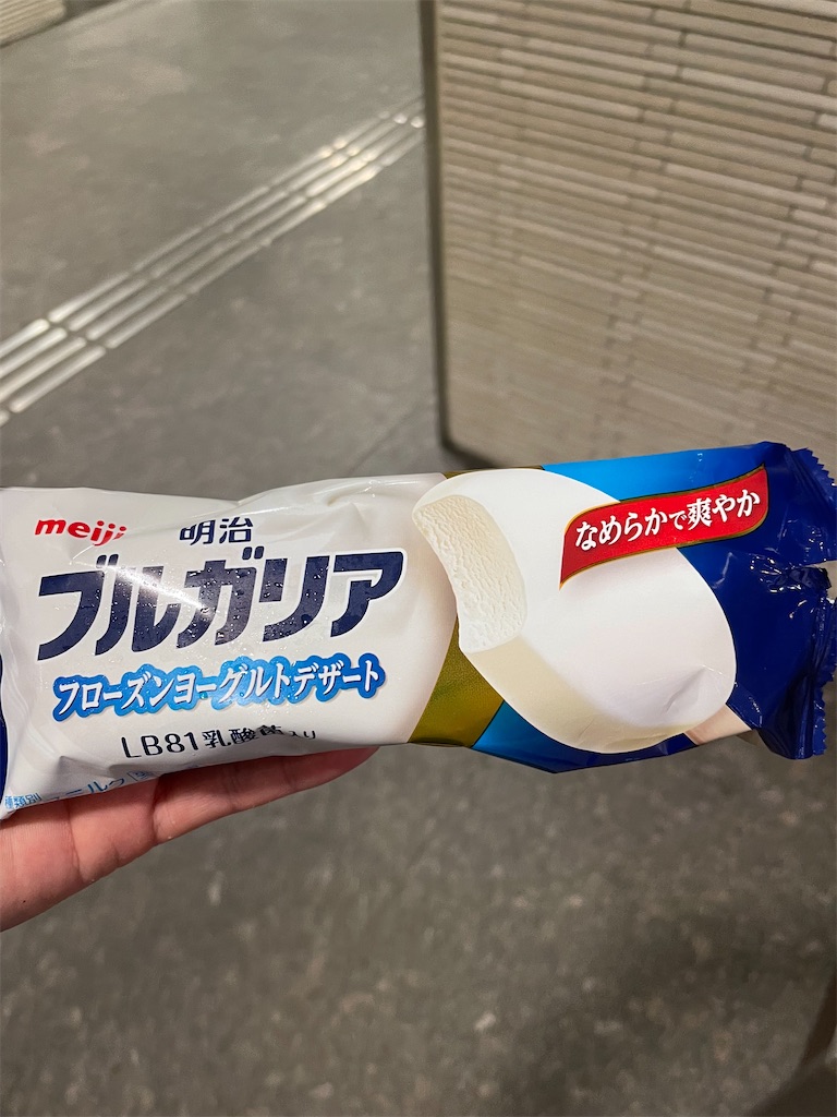 f:id:ideal_orange:20230730100250j:image