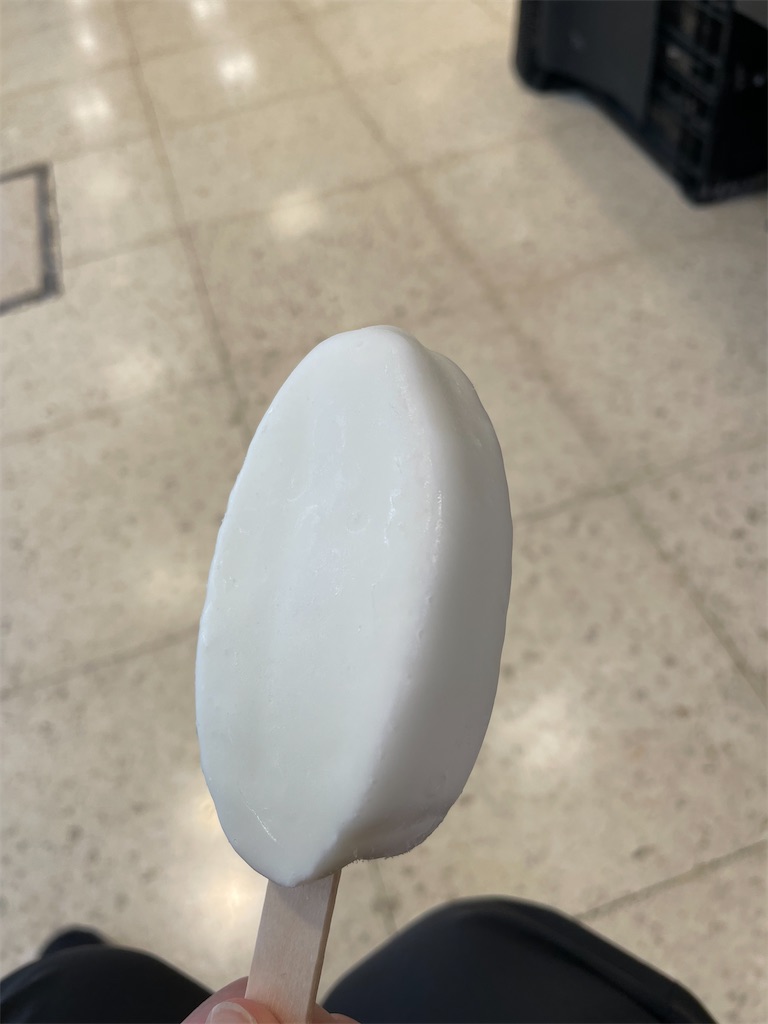 f:id:ideal_orange:20230730100254j:image